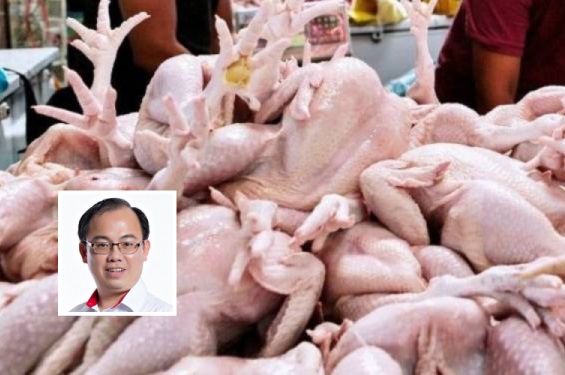 Isu bekalan ayam: Gerakan gesa kerajaan ambil pendekatan tambahan