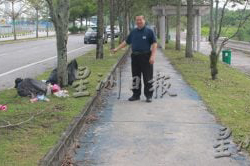 乏人打理路边满布枯枝垃圾 优大西湖悠闲区失色